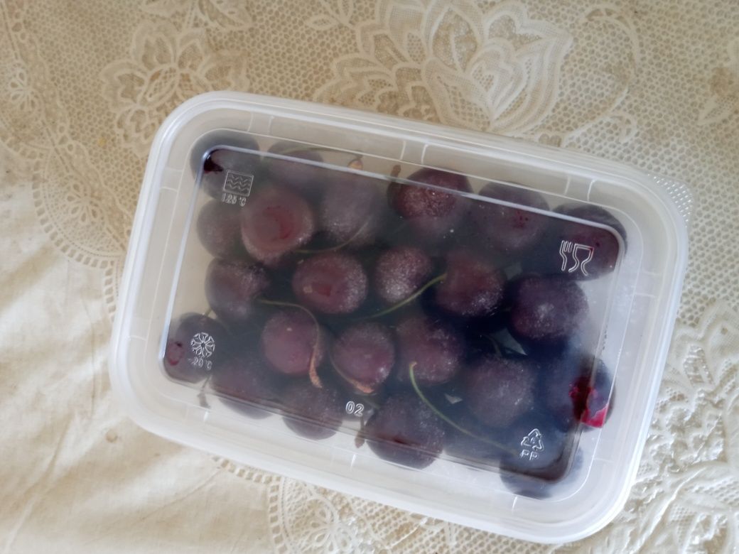 Dovcha bor kok sulton bor qulupney bor guloz bor