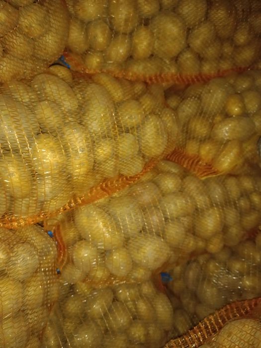 Vând cartofi de consum albi şi roşii