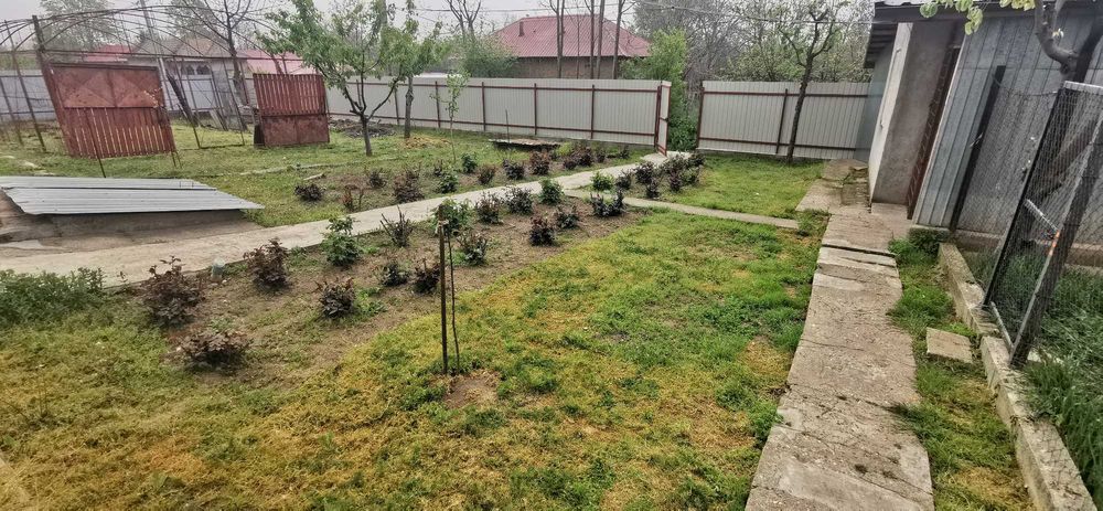 Vand casa in Pietrosani - Teleorman