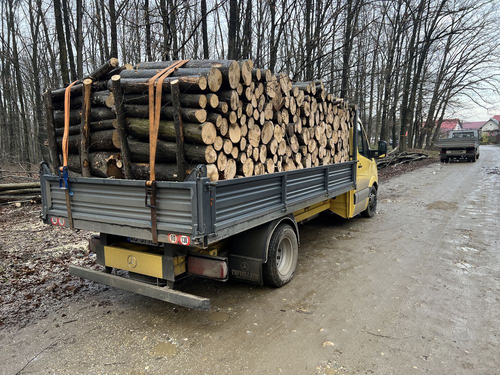 Vând lemn de foc esența tare fag,stejar,carpen,salcâm etc