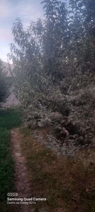 ховли ижарага берилади