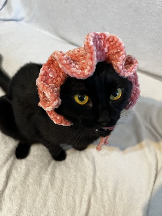 Pălărie croșetată roz pufoasă pentru pisici