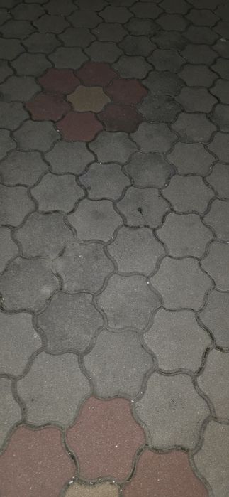 Vând pavaj tip floare