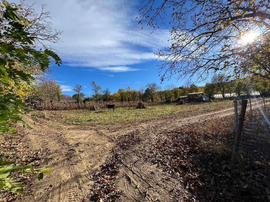 2480 mp, teren intravilan comuna Parava, sat Dragusani, judetul Bacau