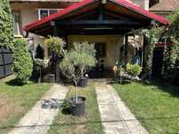 Vand apartament complet utilat