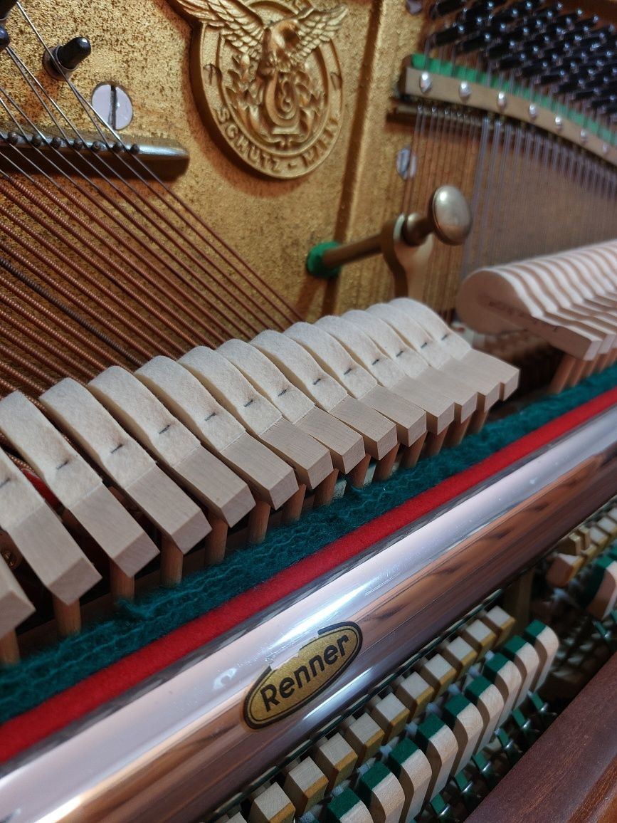 Pianina EUTERPE ( brand Bechstein)