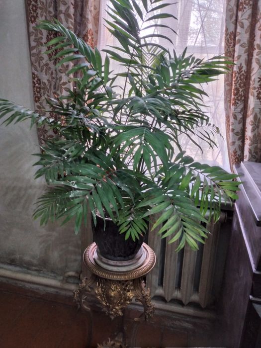 Продаётся. Комплектация