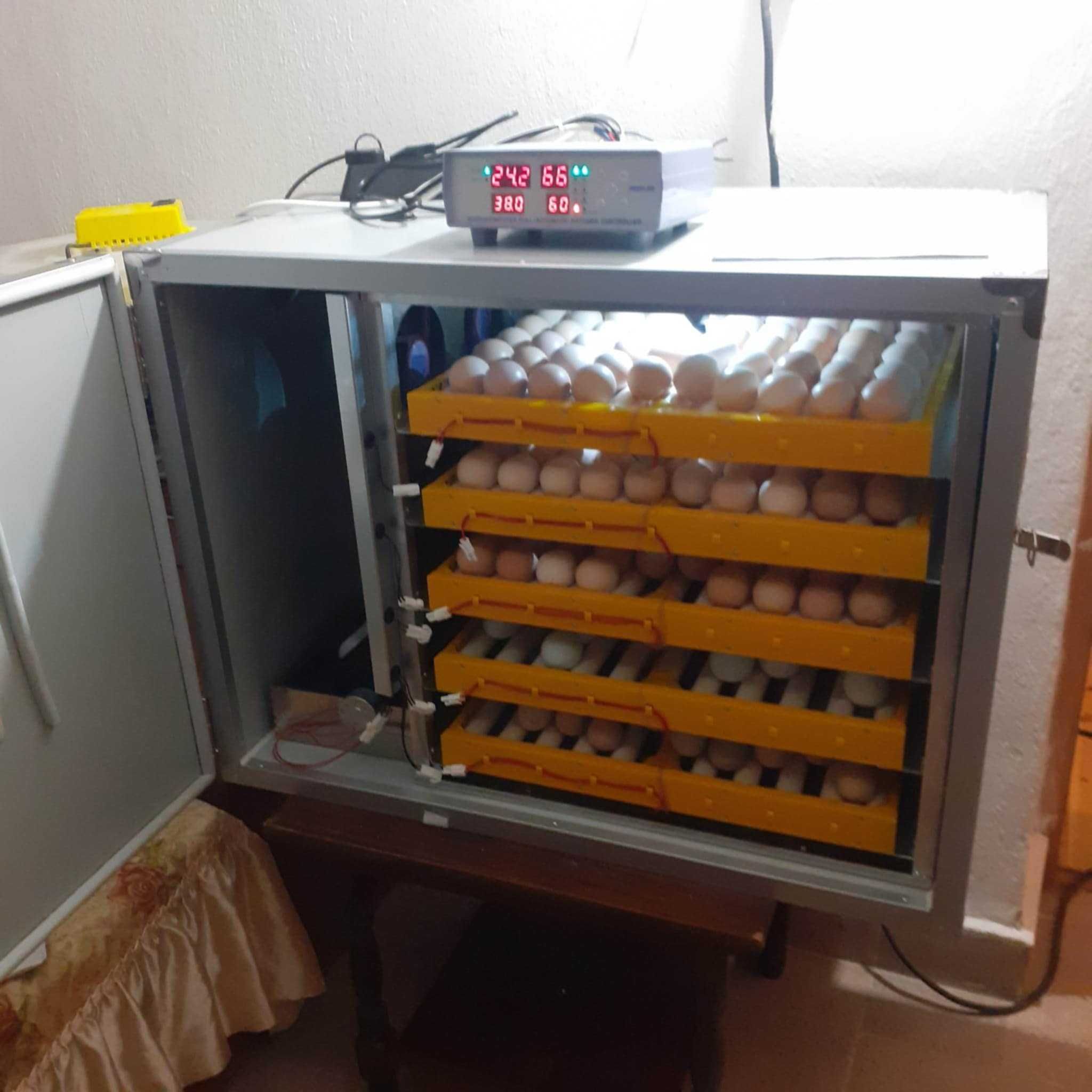 Професионален инкубатор, Люпилня MS-300 яйца (DC 12V / AC 220V)