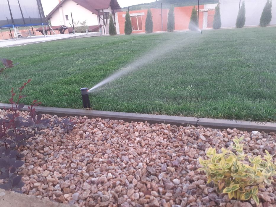 Pavaj, aleei, borduri , separatoarelor