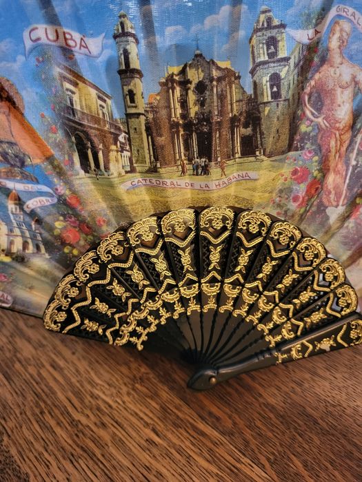 Красиви и екзотични ветрила