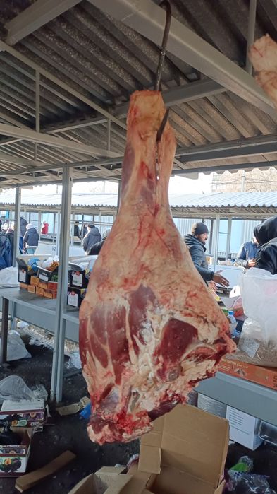 Мясо говядина и баранина