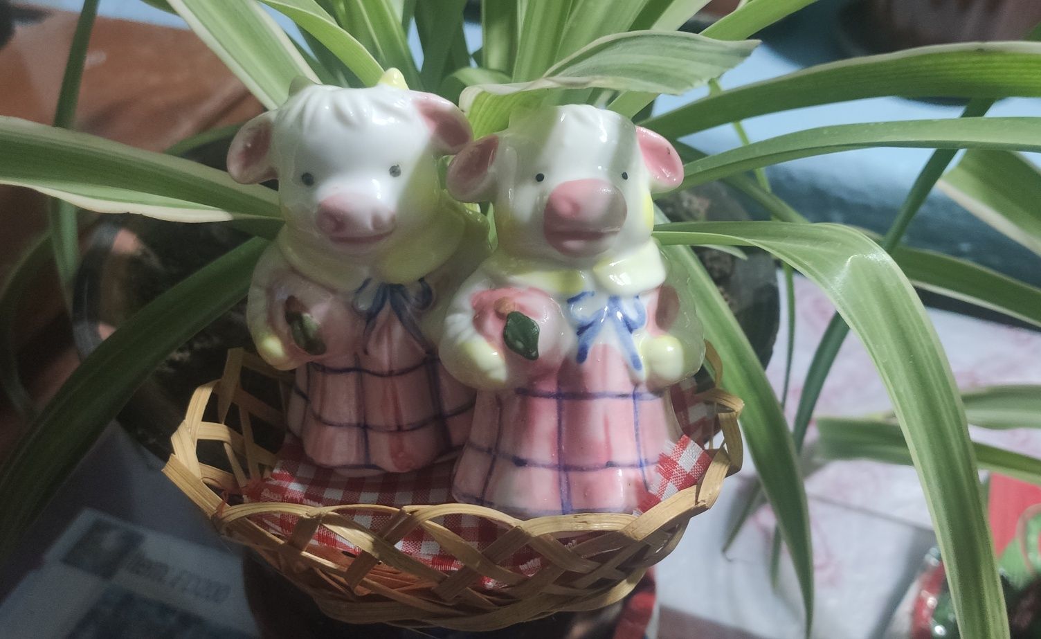 Набор для специй