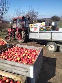 Vând mere idared la preț de producător in