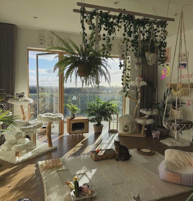 Передержка кошек котят