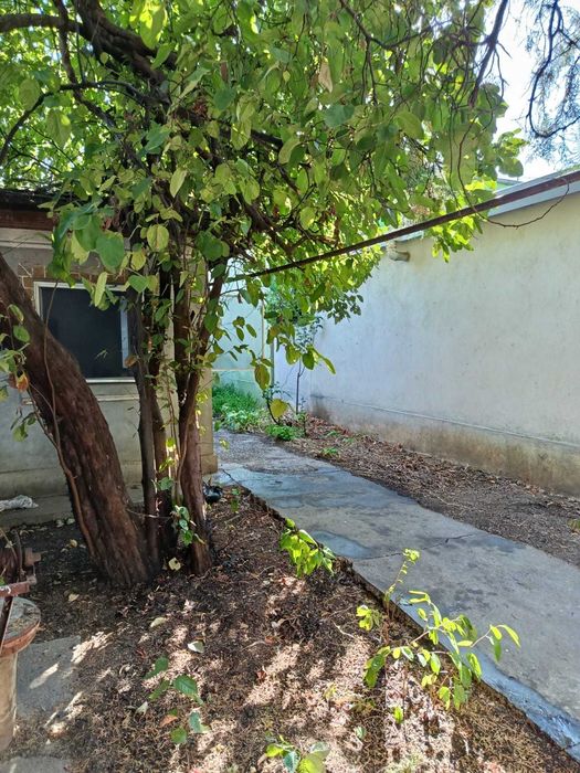 Casa la curte cu mare potential Aparatorii Patriei