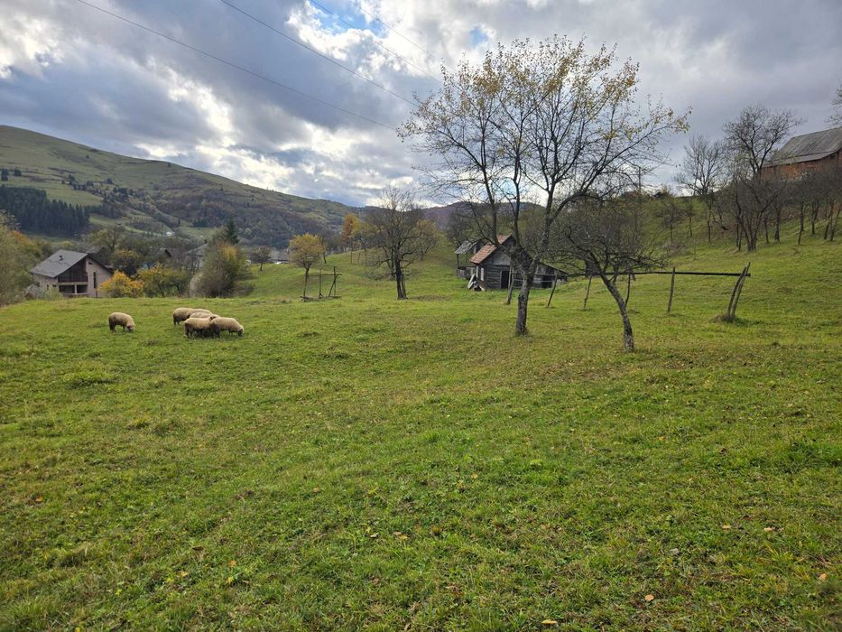 Vand teren livada viseu de jos