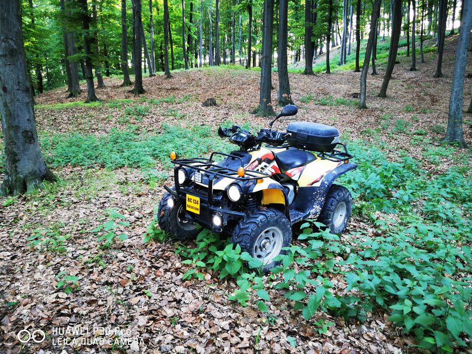 ATV Linhai worker 300