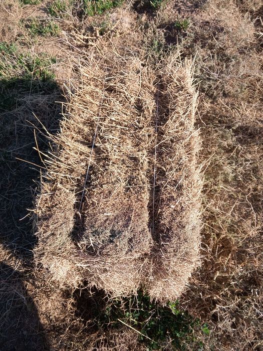 Беда бор сотилади