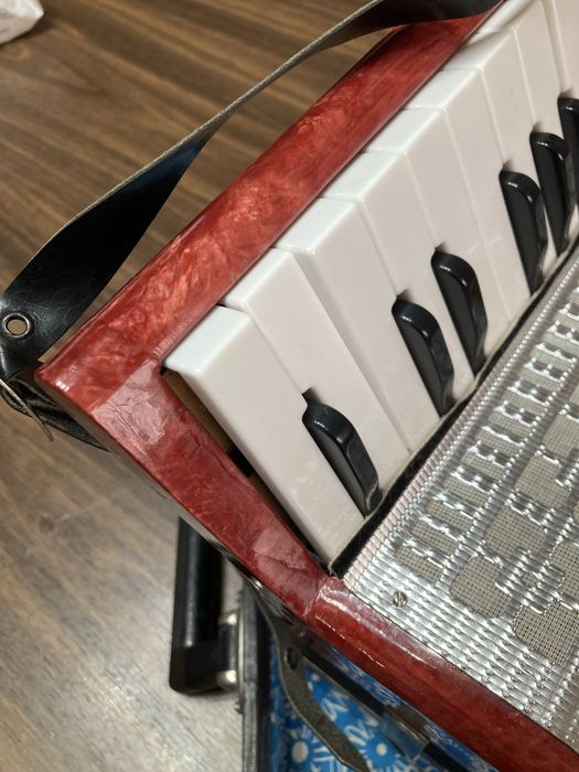 Детски Акордеон!