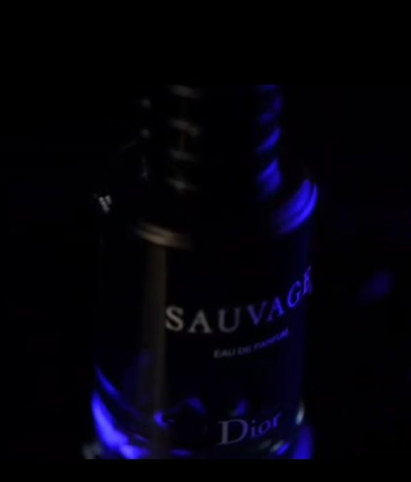 Sauvage erkaklar uchun parfyumlangan suvi, hajmi 100 ml

 Sauvage-bu e