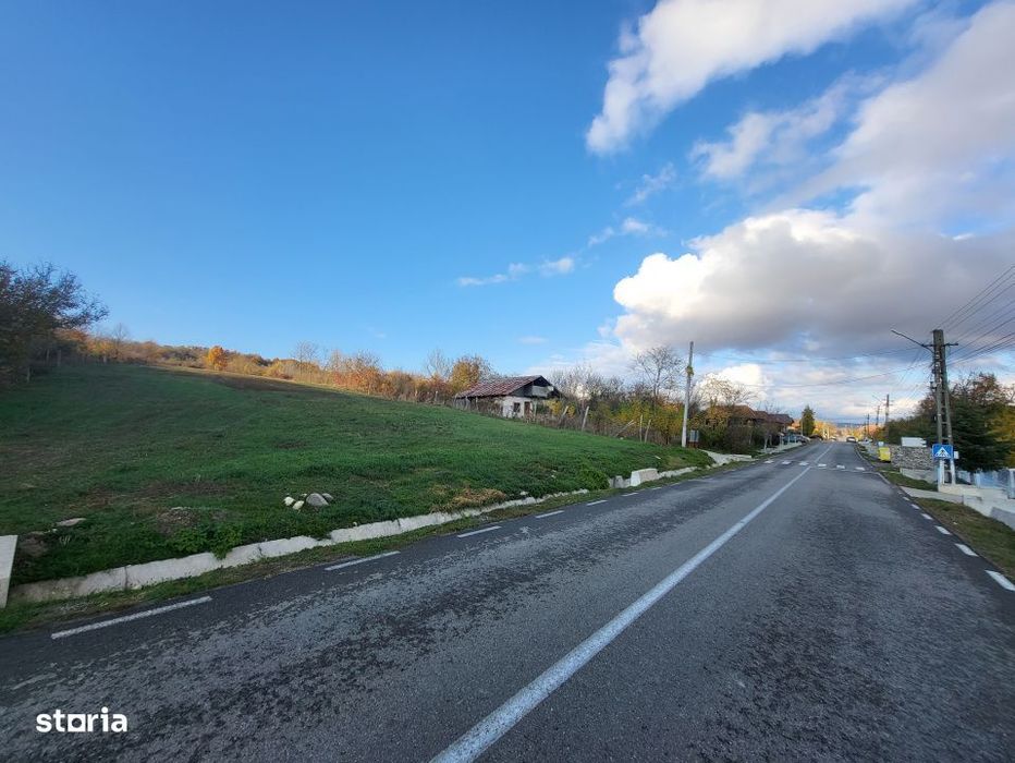 Teren 11.939 mp Balanesti – ideal rezidential/comercial