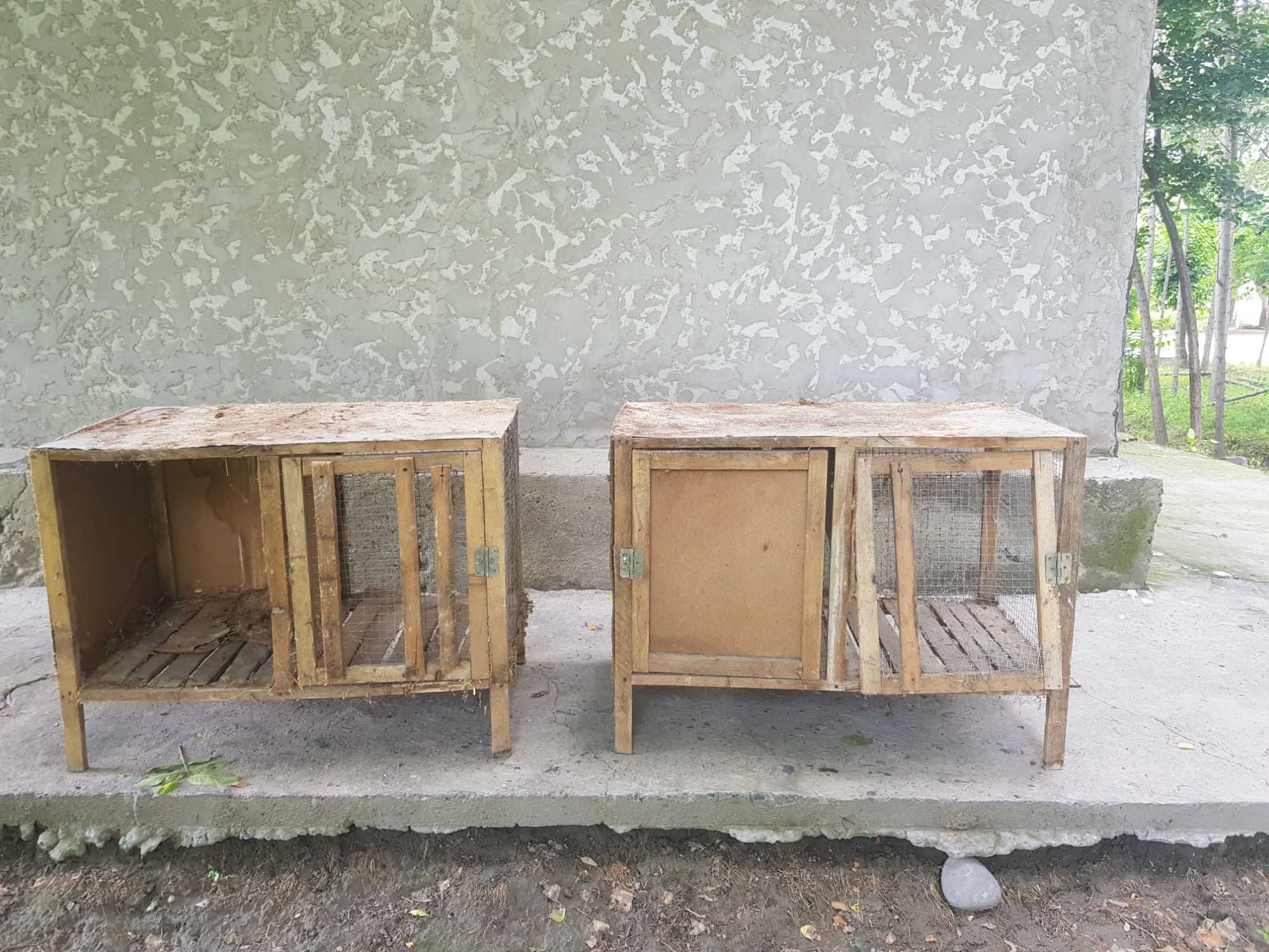 Katak quyon va tovuqlar uchun