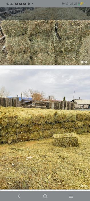 Продам сено разнотравья луговой этого года