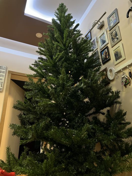 Продавам елха 210 см