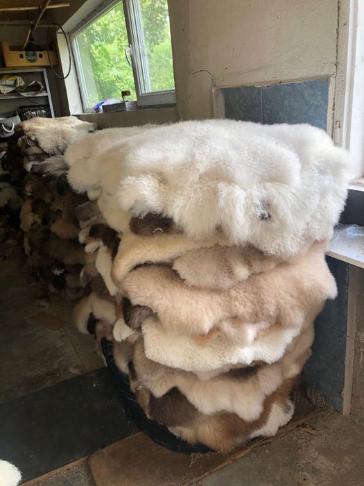 Blană de oaie/Piele de oaie naturală, decorativă, tip covoraș