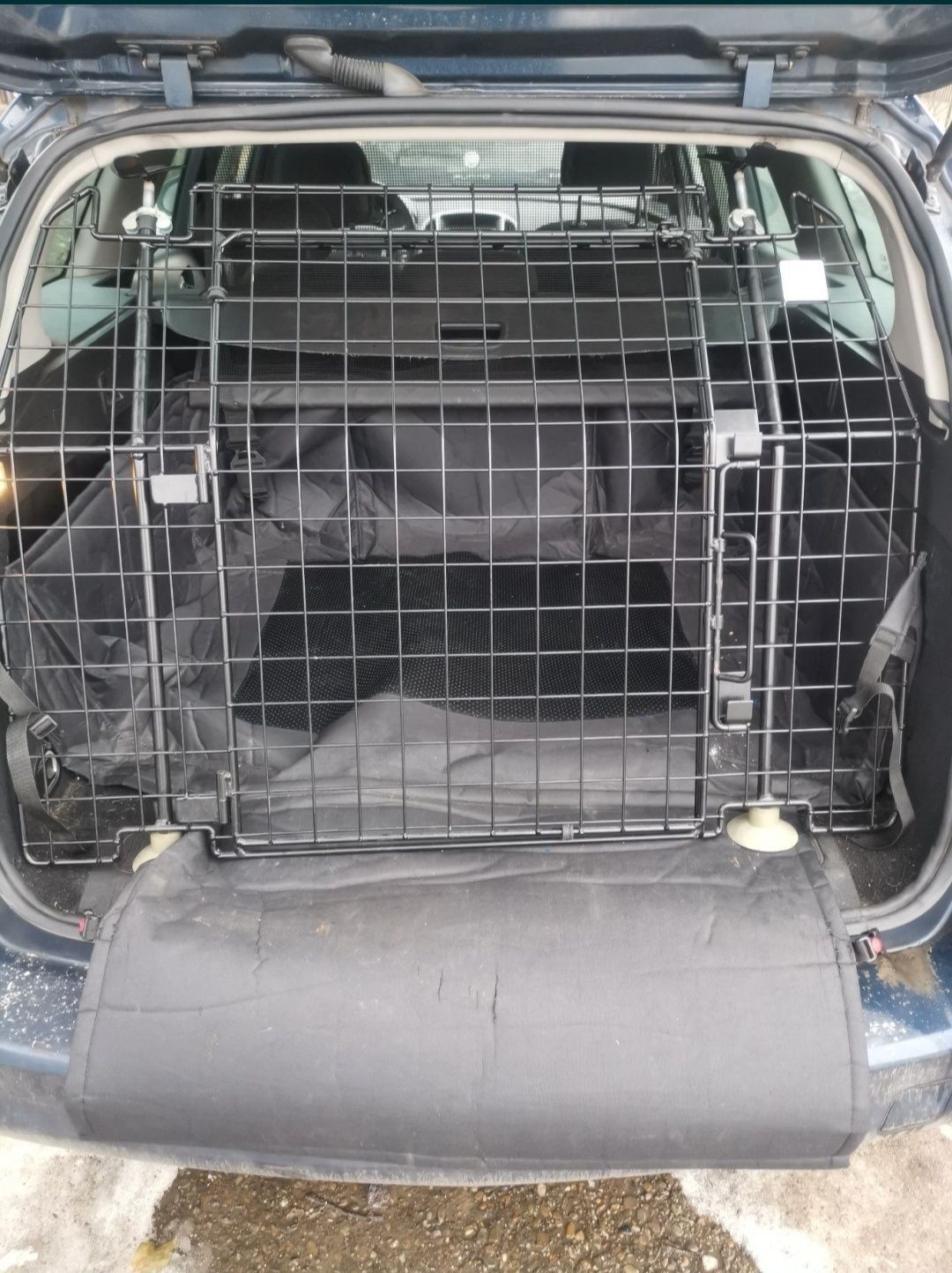 Paravan animale auto