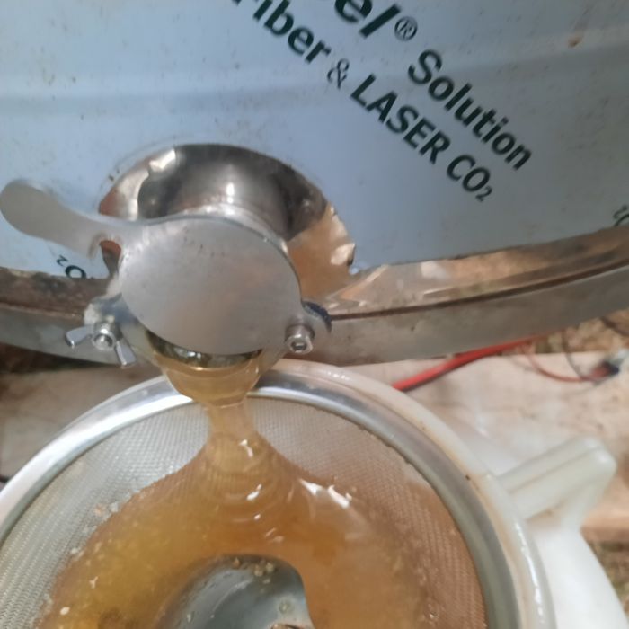 Miere de albine din producție proprie