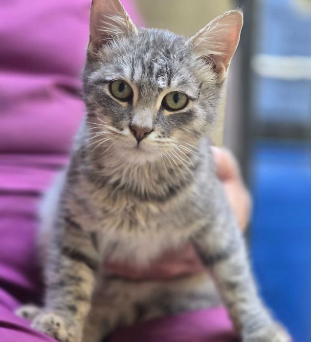 Малыш ищет семью!