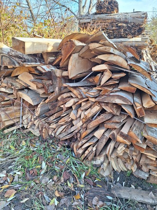 Lemn de foc fag sau brad