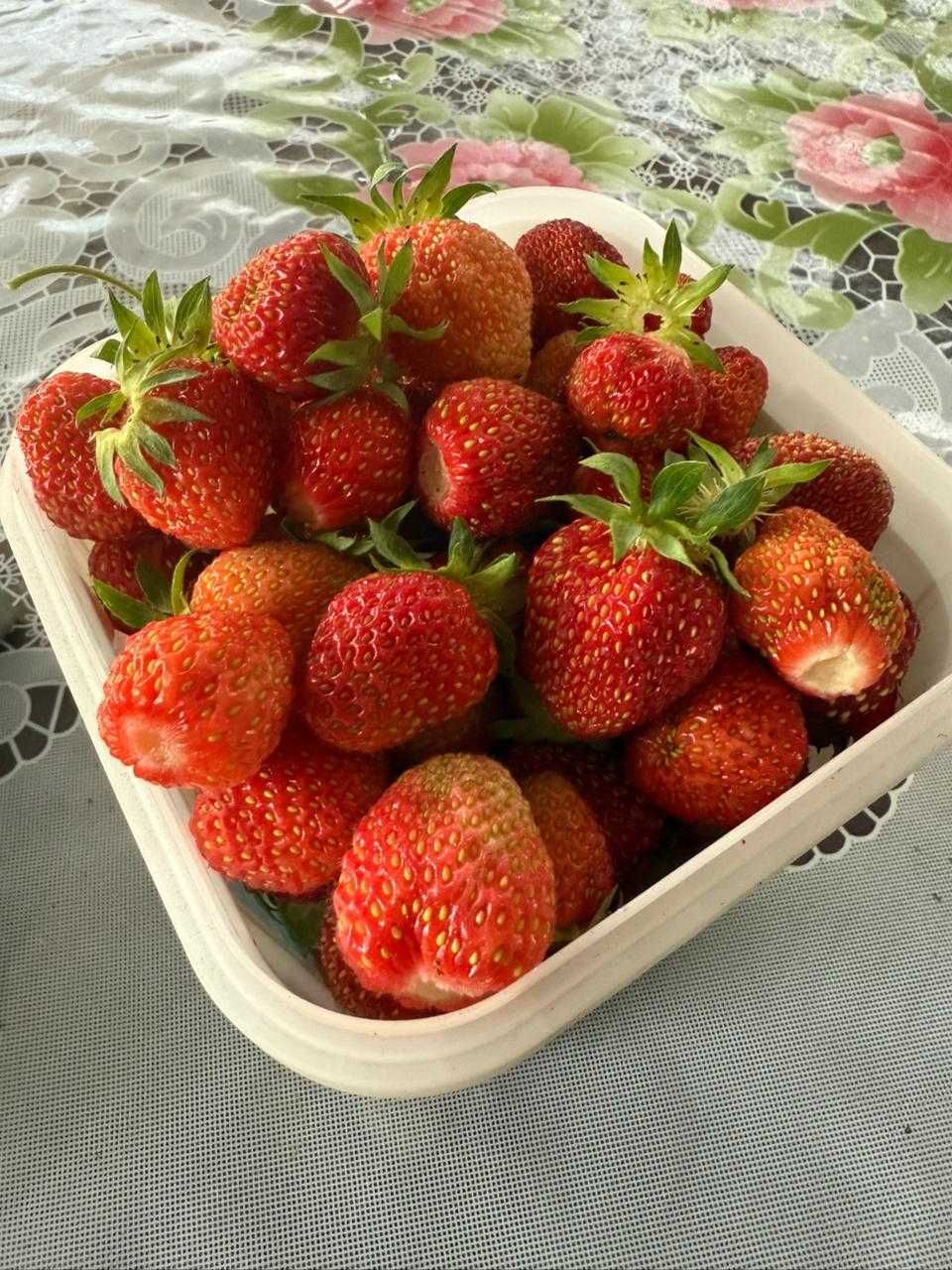 продам клубнику дачную