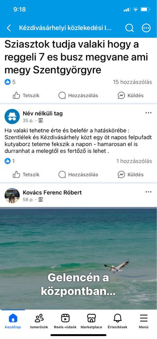 Cartofi samanta alb si rosu