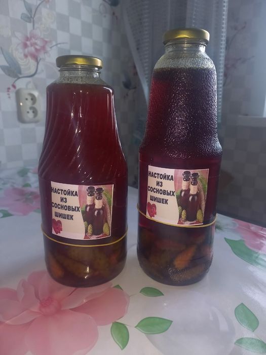 Сосновый мёд из сосновых шишек