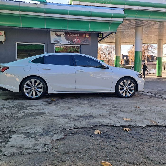 Baloni xolati ortacha