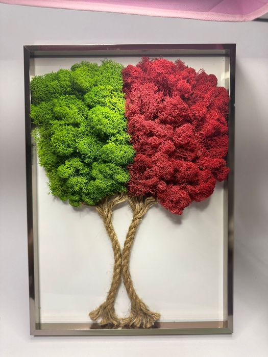 Vând tablouri licheni stabilizați