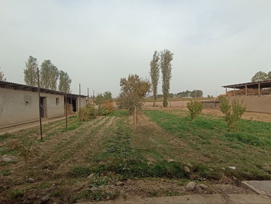 Yangiyo‘lda 12 sotix uchastka sotiladi