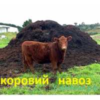 Продам навоз прицепом, мешками