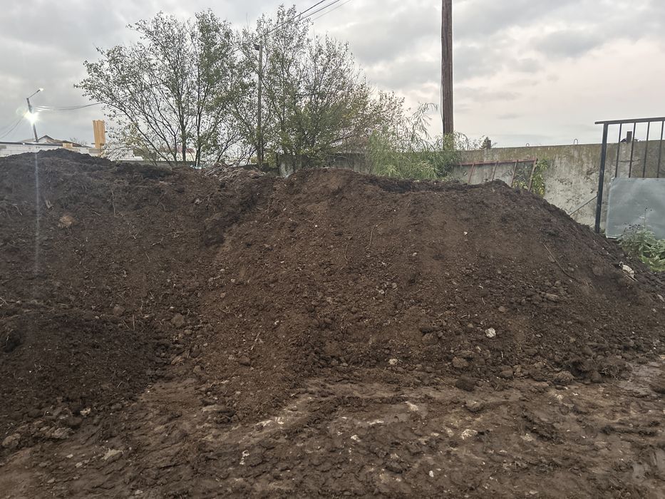 Mranita maturata ptr solarii sere familiale rasaduri