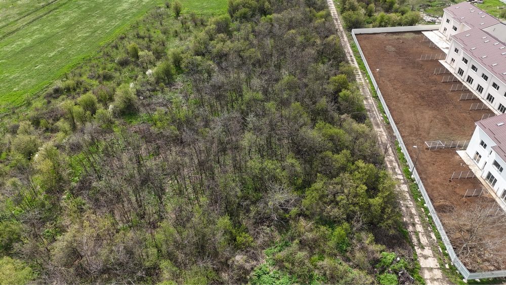 Teren Voluntari Metro 800 MP Str Scolii Asistenta Sociala IF