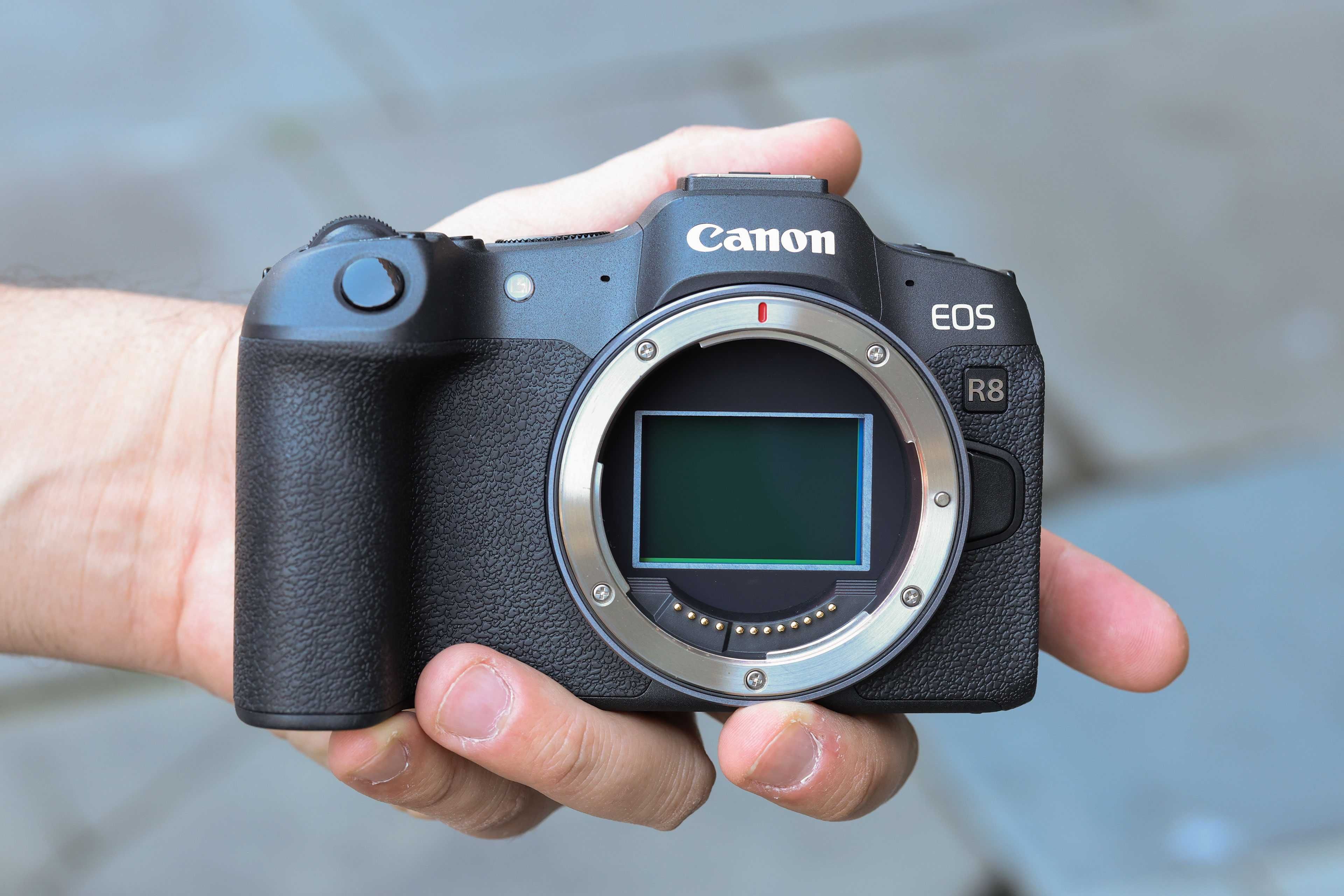 Canon EOS R7 и Canon EOS R8 body (без объектива)