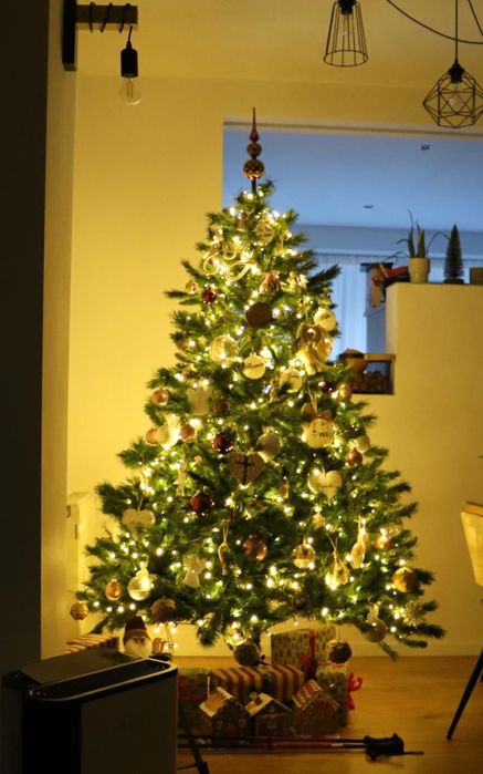 Brad de Craciun 2.1m