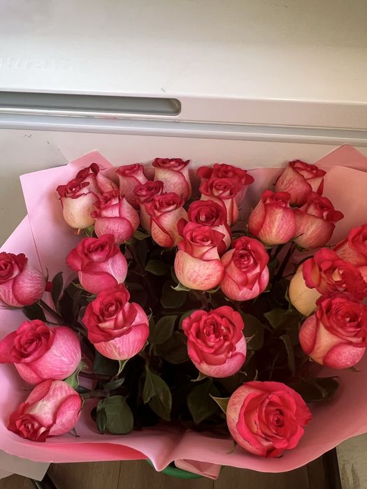 25 роз,срочно продается