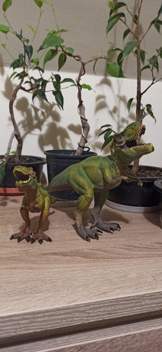 Tyrannosaurus Rex, adult/ pui