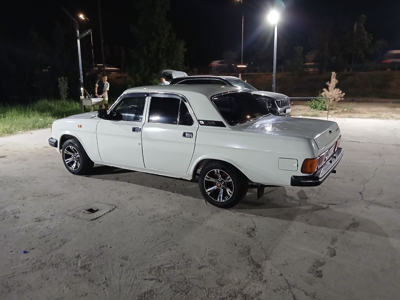 Волга Газ  31029