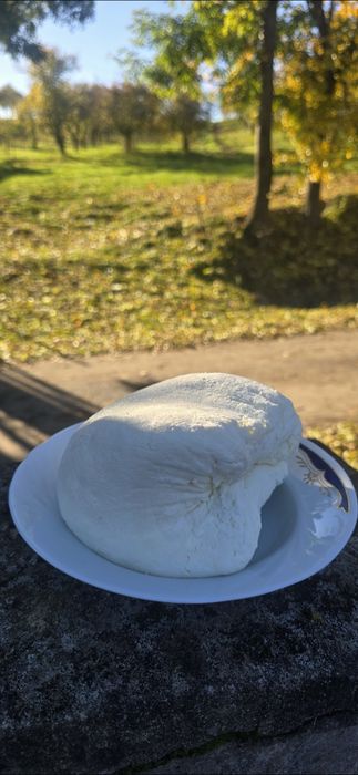 Bio Telemea, branza vaci(scoaca) si smantana 20-30 ron kg Oradea Borod