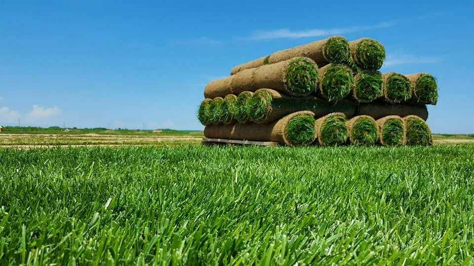 Rulouri gazon natural + sisteme de irigații
