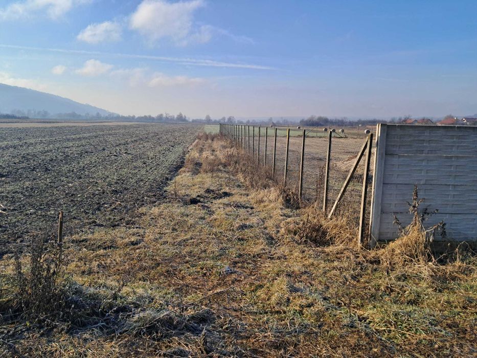 Vand teren in localitatea Livada,CJ, cu proiect casa!